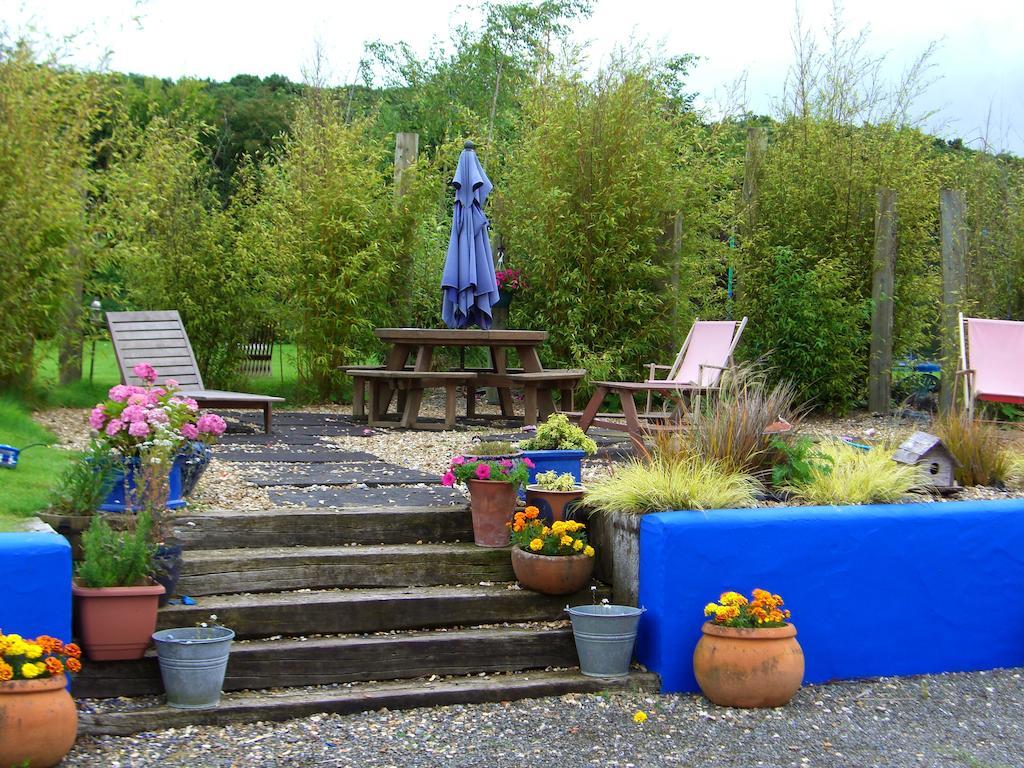 The Village Studio Apartments Moate Room photo