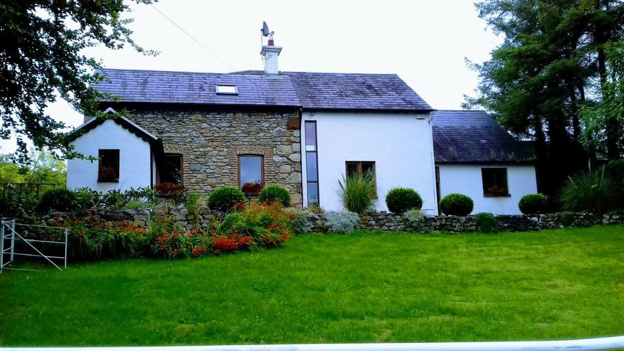 The Village Studio Apartments Moate Exterior photo